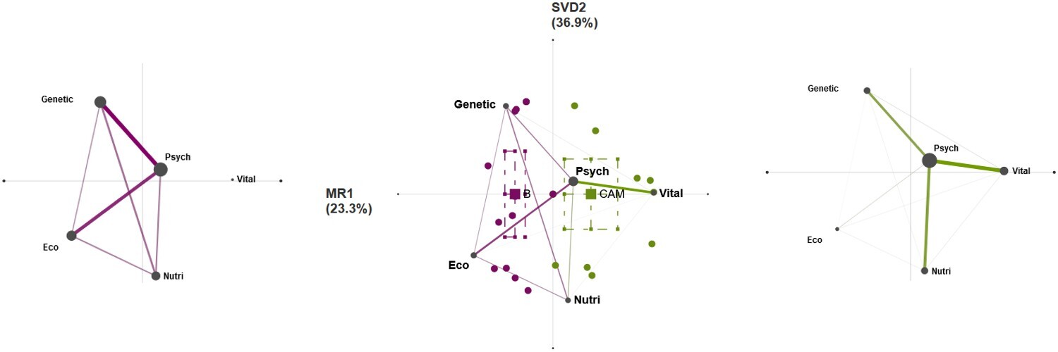 Three ENA networks, as described in the text.