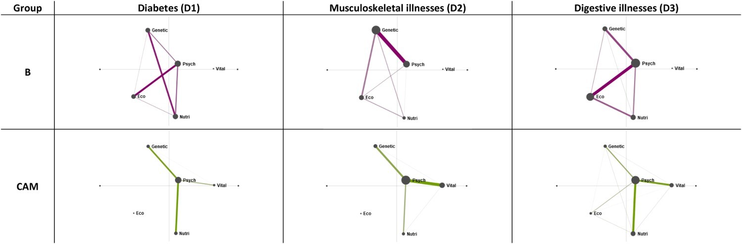 Six more ENA networks laid out in two rows (biomedicine on the top row and complementary and alternative medicine on the bottom row) and three columns (respectively diabetes, musculoskeletal illnesses, and digestive illnesses).